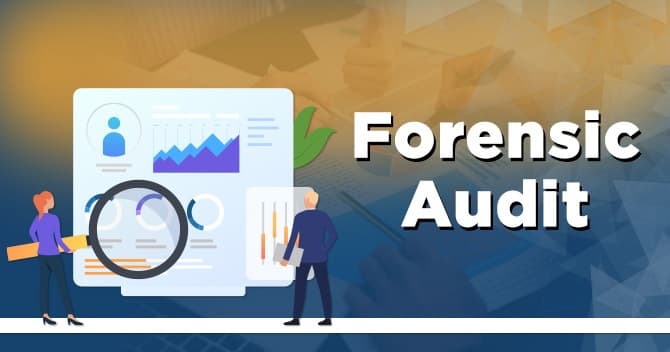 Forensic Audit