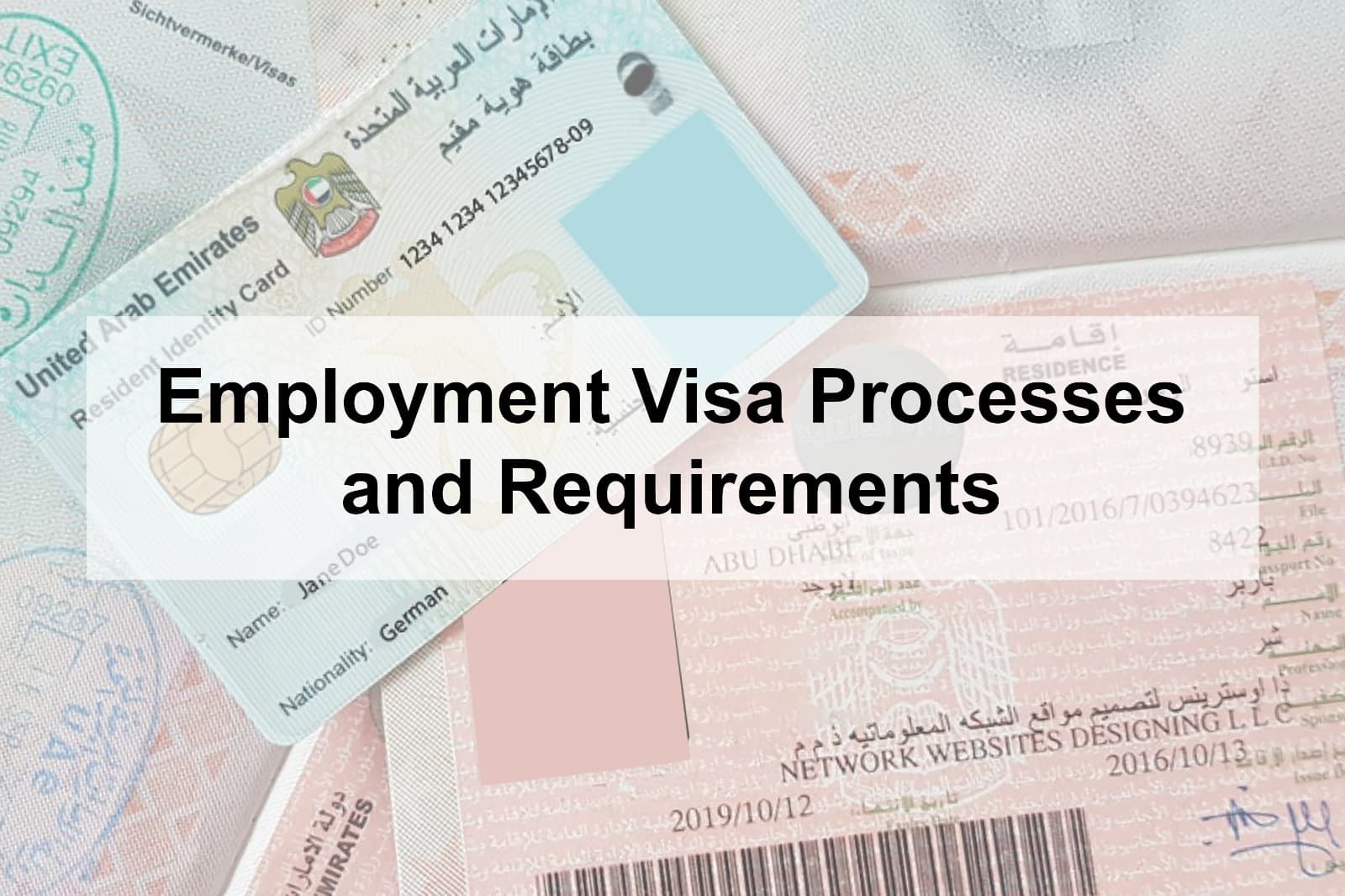 Employment Visa Processing