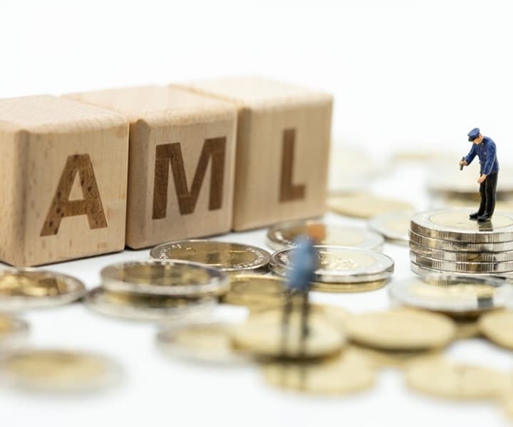 AML Services