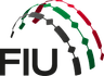 UAE Financial Intelligence Unit