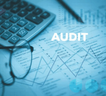 Audit Services